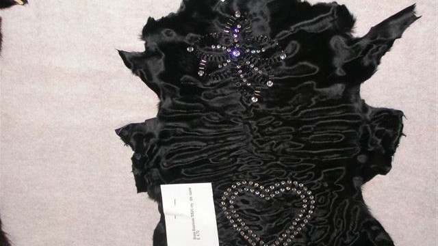 collection 4 strass on broadtail